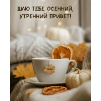 ��� ���� �������, �������� ������!