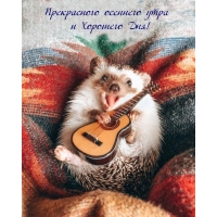 ����������� �������� ���� � �������� ���!