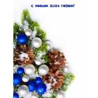� ����� 2024 �����!