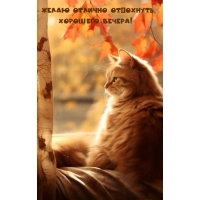 Желаю отлично отдохнуть. Хорошего вечера!
