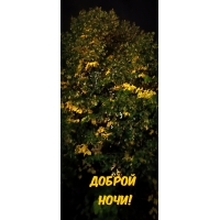 ������ ����!