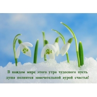 � ������ ���� ����� ���� ��������� ����� ���� �������� 