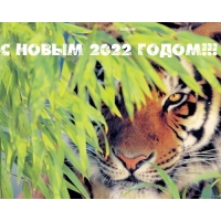 � ����� 2022 �����!
