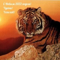 � ����� 2022 �����! �����! �������!