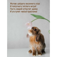 ����� ������ �������� ����� � �������� ����� ��������! 