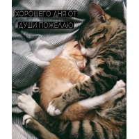 �������� ��� �� ���� �������