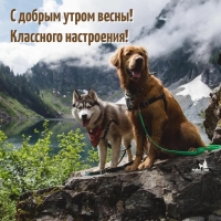 � ������ ����� �����! ��������� ����������!