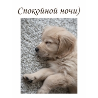 ��������� ����)