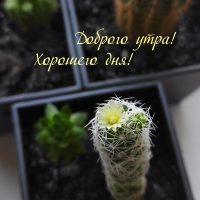 ������� ����! �������� ���!