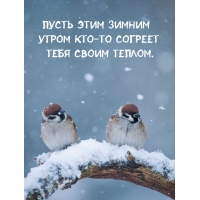 ����� ���� ������ ����� ���-�� ������� ���� ����� ������.