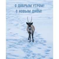 � ������ �����! � ����� ����!