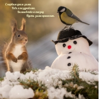 � ������ ���� ���� ���� � ����������