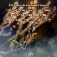 ��������� �������� ����. ������� ���� � ����