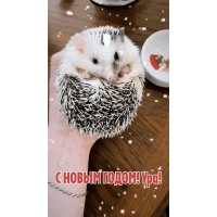 � ����� �����! ���!